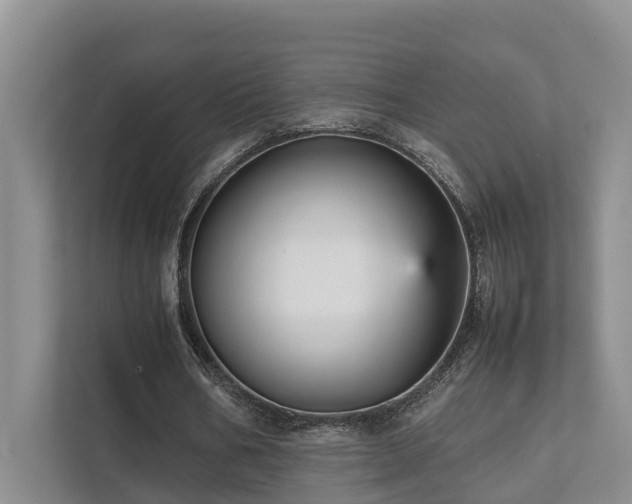 X0000111350578200907101212