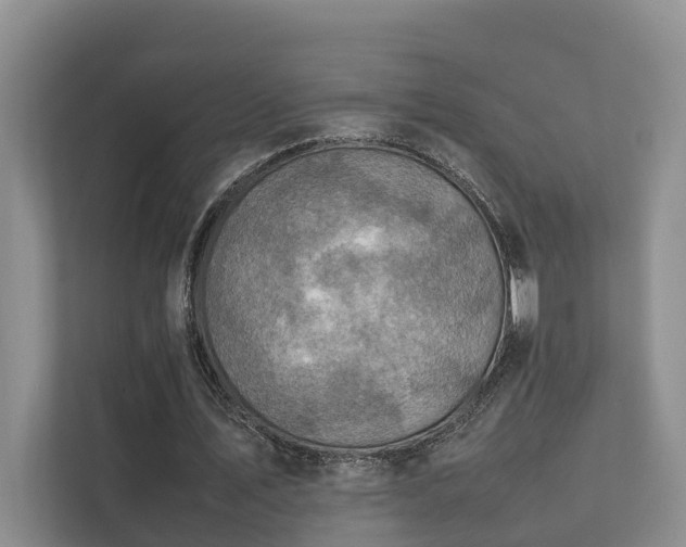 X0000111350579200907101212