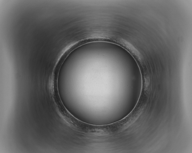 X0000111350580200907101212