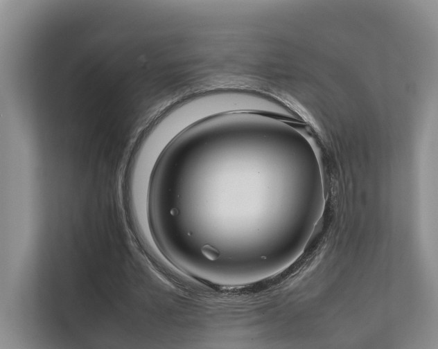 X0000111350581200907101212