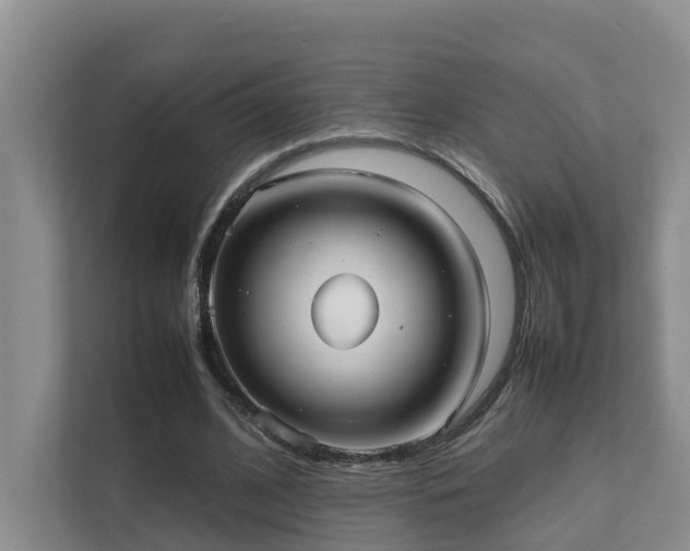 X0000111350584200907101212