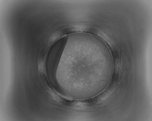 X0000111350585200907101212