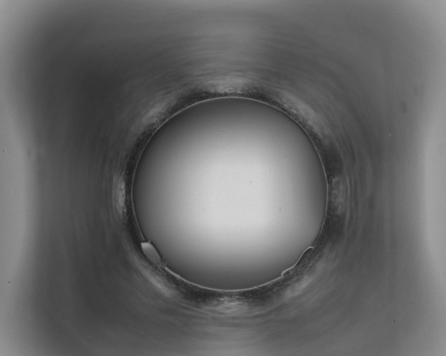 X0000111350589200907101212