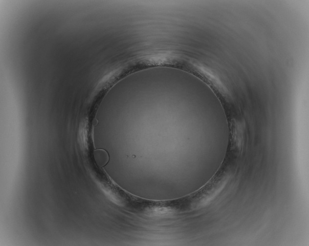 X0000111350590200907101212