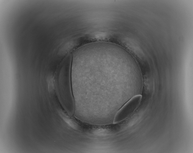 X0000111350593200907101212