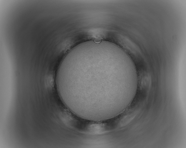 X0000111350595200907101212