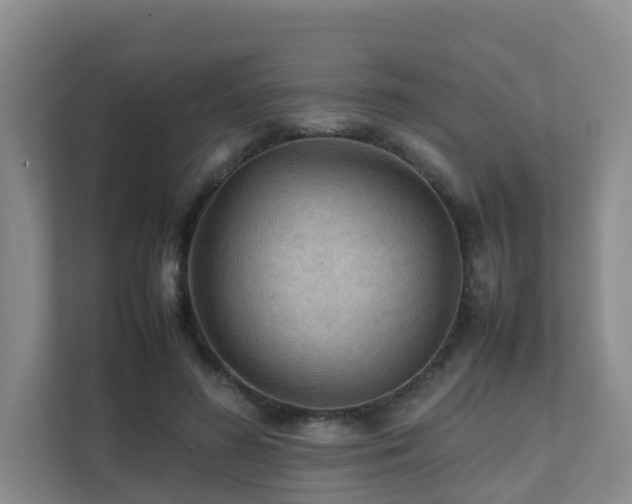 X0000111350596200907101212