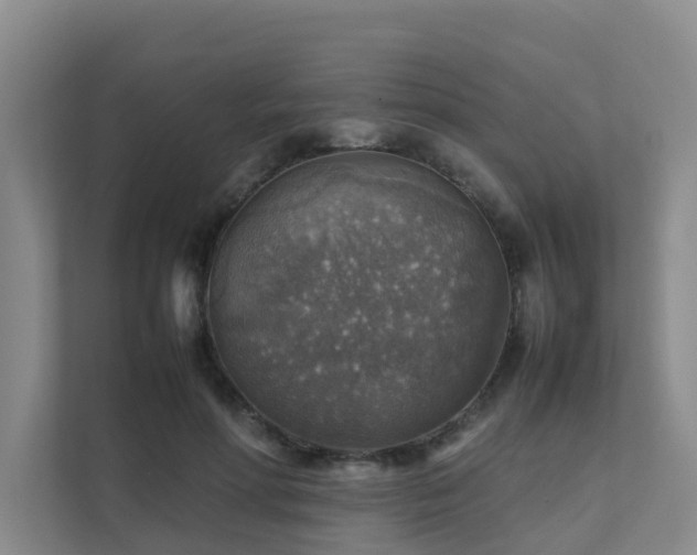 X0000111350598200907101212