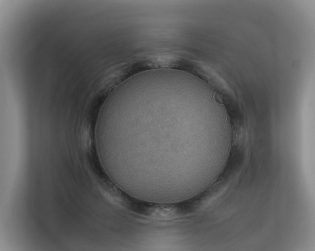 X0000111350599200907101211