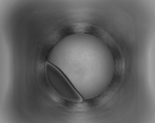 X0000111350601200907101211