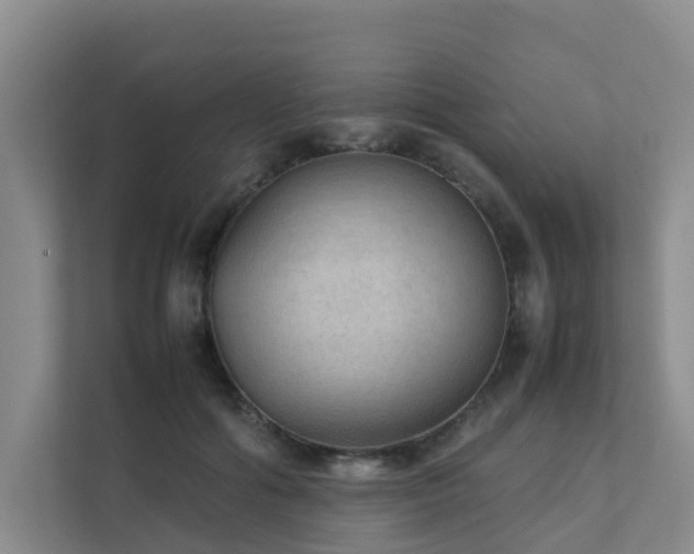 X0000111350602200907101211