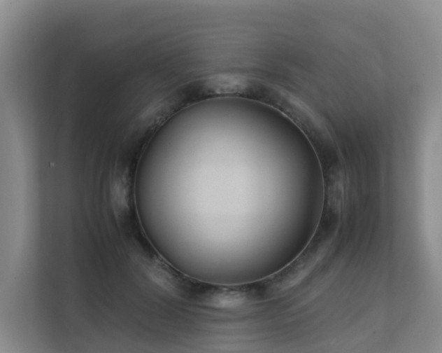 X0000111350604200907101211