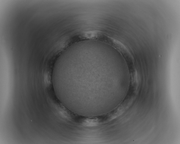 X0000111350606200907101211