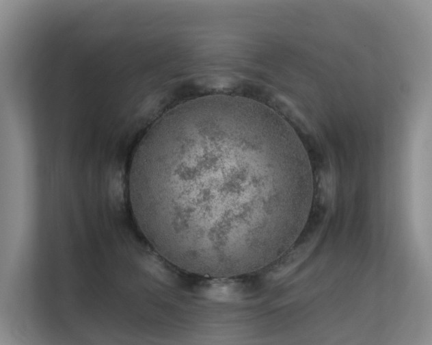 X0000111350612200907101211