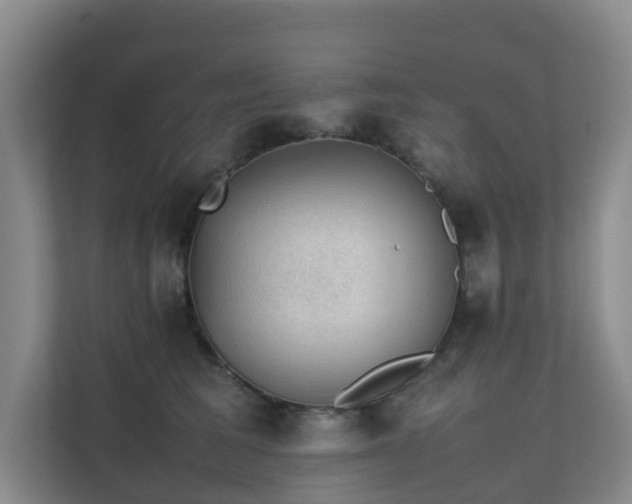 X0000111350613200907101211