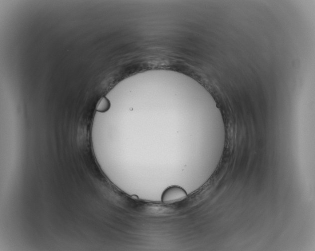 X0000111350614200907101211