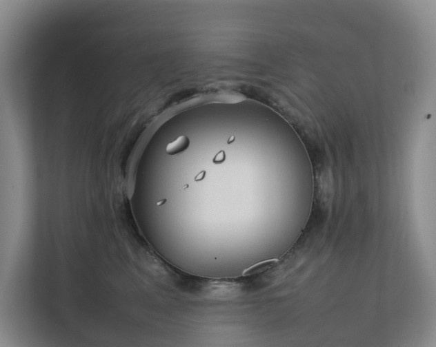 X0000111350617200907101211