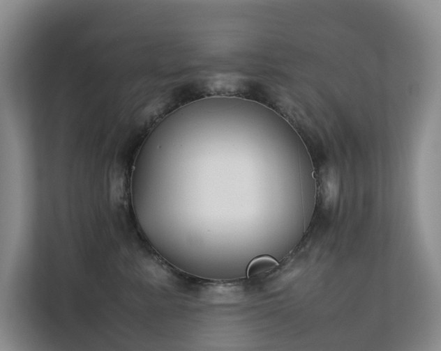 X0000111350619200907101211