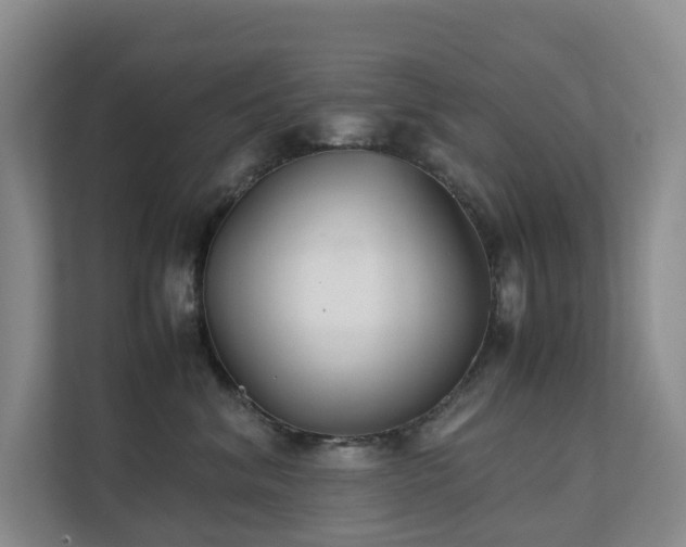 X0000111350620200907101211