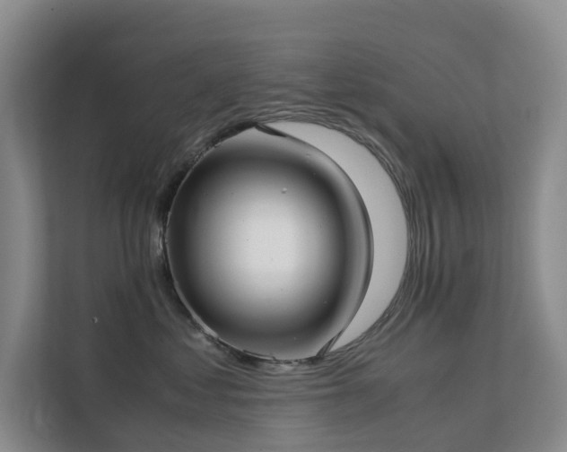 X0000111350621200907101211