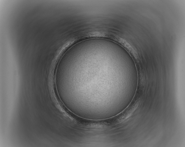 X0000111350625200907101210