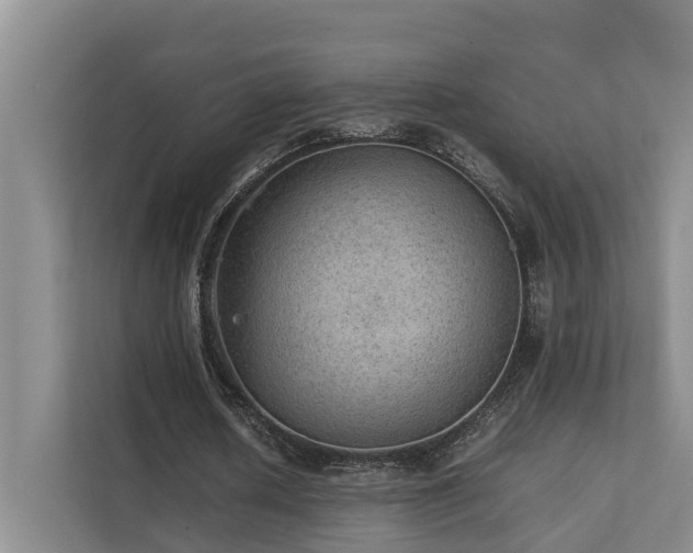 X0000111350626200907101210