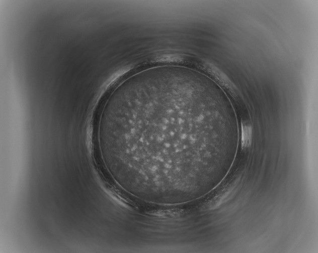 X0000111350627200907101210
