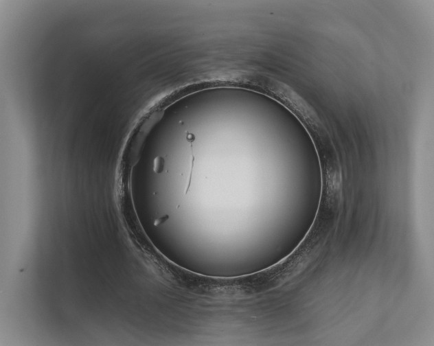 X0000111350628200907101210