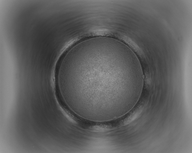 X0000111350630200907101210
