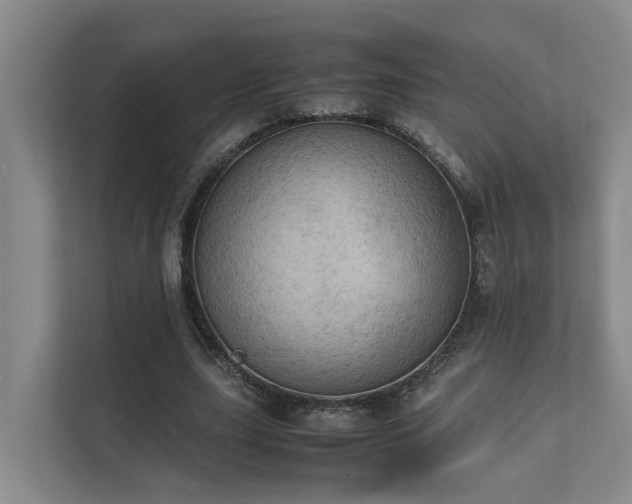 X0000111350631200907101210