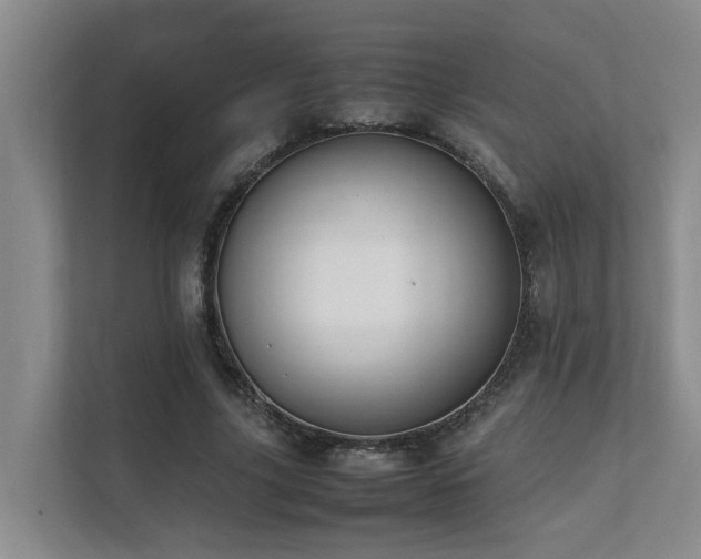 X0000111350635200907101210
