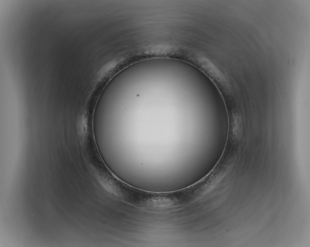 X0000111350636200907101211