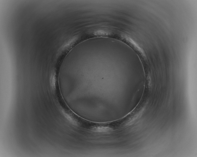 X0000111350637200907101211