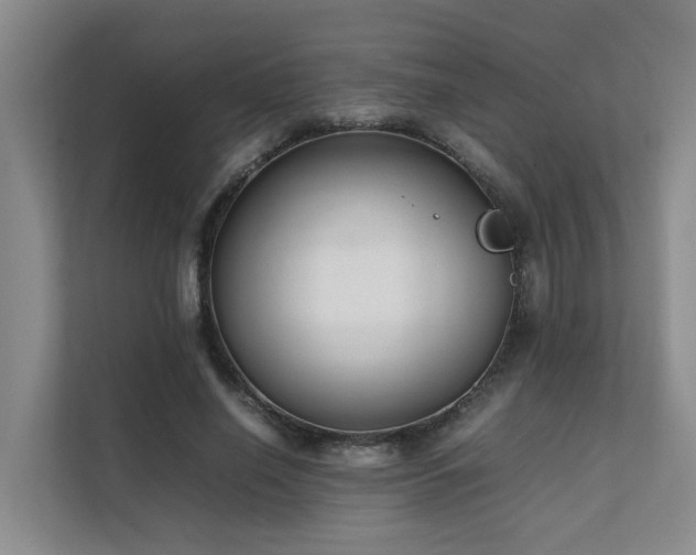 X0000111350638200907101211