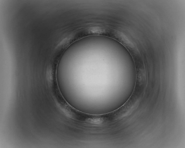 X0000111350639200907101211