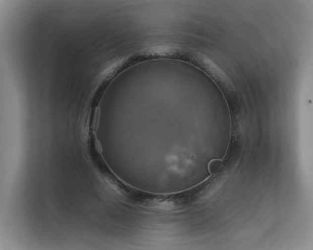 X0000111350640200907101211