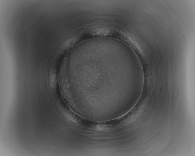 X0000111350641200907101211