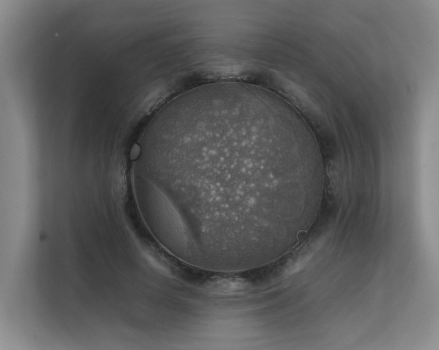 X0000111350642200907101211