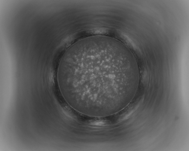 X0000111350643200907101211