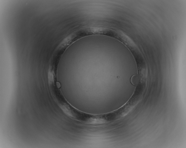 X0000111350644200907101211