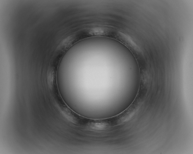 X0000111350645200907101211