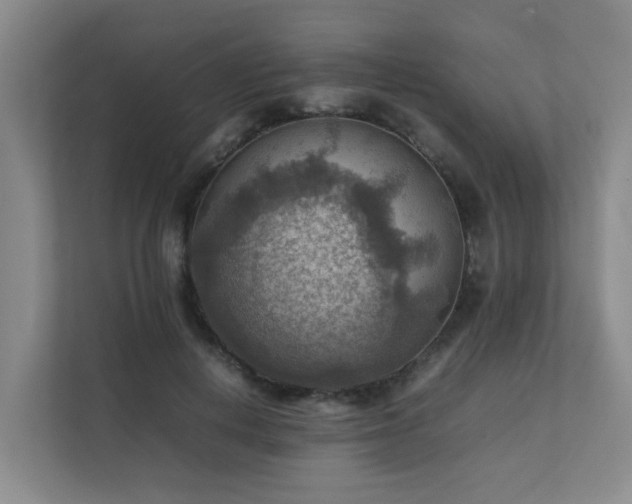 X0000111350648200907101211