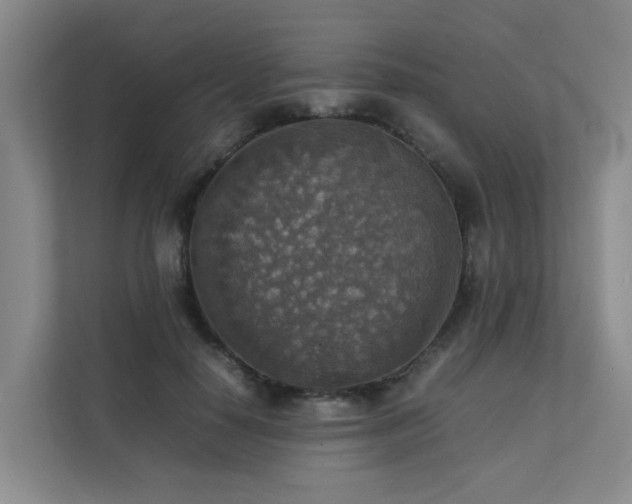 X0000111350650200907101211