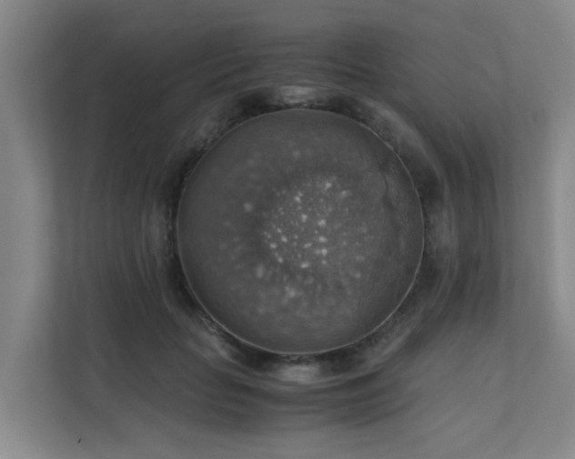 X0000111350653200907101211