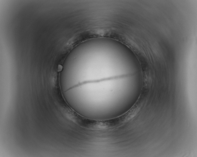 X0000111350656200907101211