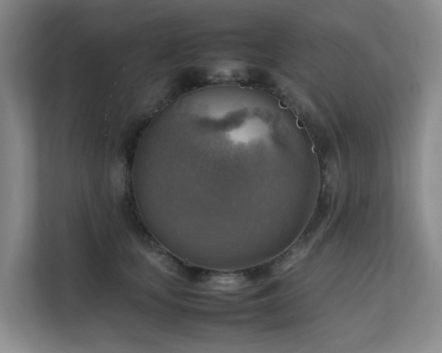 X0000111350659200907101211