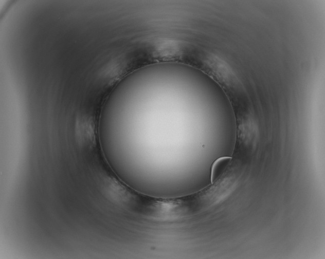X0000111350662200907101211