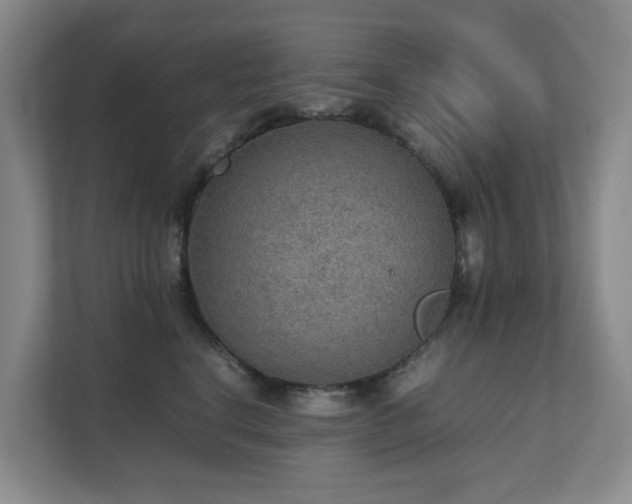 X0000111350664200907101211