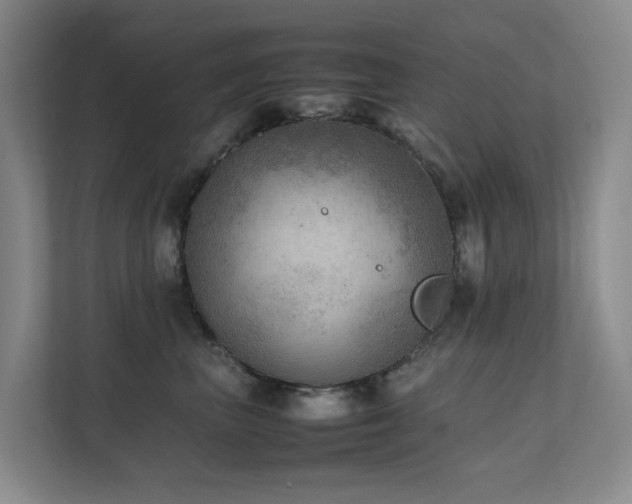 X0000111350667200907101211