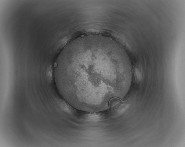 X0000111350668200907101211